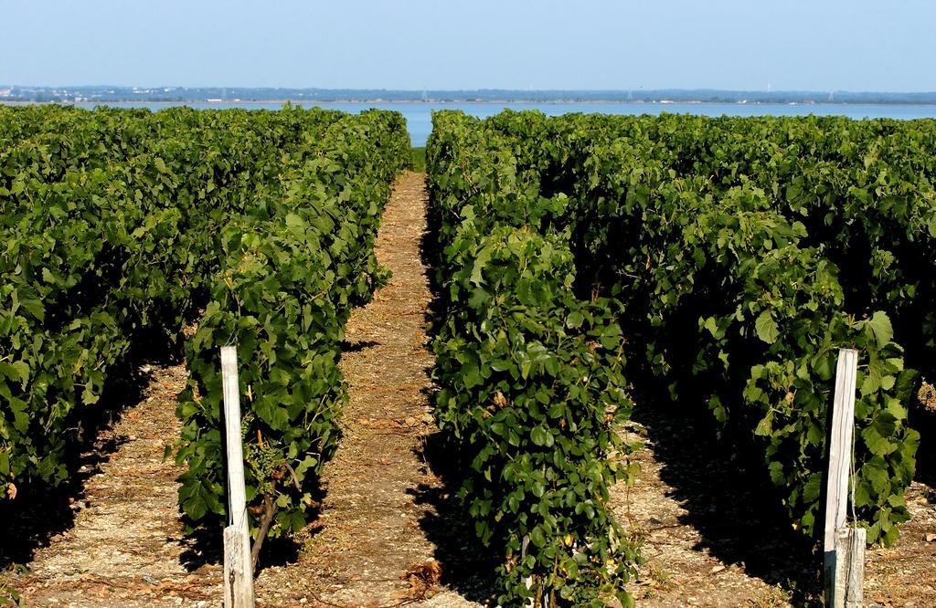 Vvf Soulac-Sur-Mer Bordeaux Medoc Dış mekan fotoğraf